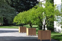 Plantenbak Hardhout 70x70x70 Cm Valencia Adezz -Winkels Voor Tuin- En Buitenuitrusting 1qZnFbi8zo1rj16MojJ0VJqFduLRSq2tUFEGcc6q