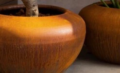 Cortenstaal Plantenbak Onyx 58 X 33 Cm -Winkels Voor Tuin- En Buitenuitrusting FB5J9TCIEwMKDXBiLV2D6k9LR4lAhlbAleyhUDqI