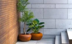 Cortenstaal Plantenbak Onyx 58 X 33 Cm -Winkels Voor Tuin- En Buitenuitrusting ItayOt37VFUGGR4iMlw8EvLxVOruLOkF4fuMy53z