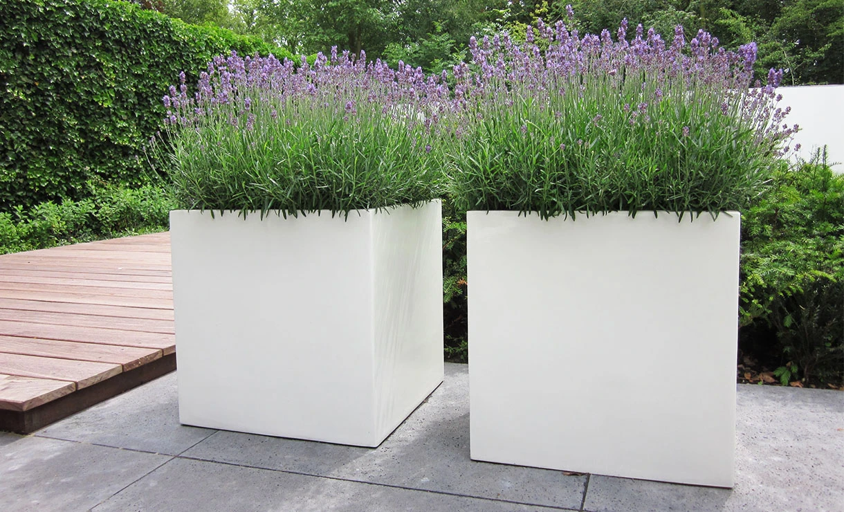 Polyester Plantenbak 120x40x40 Cm Adezz 7 Polyester Plantenbak 120x40x40 Cm Adezz - Afbeelding 5