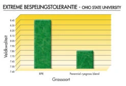 Barenbrug Speel En Sport 2 Kg -Winkels Voor Tuin- En Buitenuitrusting Q5S6nEjxvqamxHgCjAq2cIohe4ltjXcgsEstC52Q
