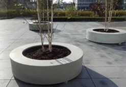 Plantenbak Polyester Circum 150 X 60 Cm Adezz -Winkels Voor Tuin- En Buitenuitrusting QHJV4t74cPhtl6TOtx8yPqA7o9ph0lw43uwy9GDy