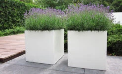 Plantenbak Polyester Canna 72x84 Cm Adezz -Winkels Voor Tuin- En Buitenuitrusting RuTg4xbOa081WHE9UFJh15anu78OehBxdD24nMAy