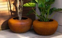 Cortenstaal Plantenbak Onyx 98 X 53 Cm -Winkels Voor Tuin- En Buitenuitrusting UV2zNu6Ksn4LYa9ngytOS6755x8nsaEhNA3ljBxX