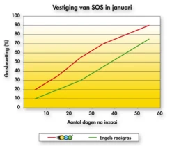 Barenbrug SOS Lawn Repair 5 Kg -Winkels Voor Tuin- En Buitenuitrusting UsiCSwJBShDH69GCQ8Cv4k2X4yapwaHtMKBjuf73