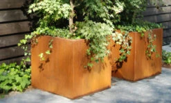 Plantenbak Cortenstaal 40x40x40 Cm Adezz -Winkels Voor Tuin- En Buitenuitrusting ZwensquQ5u0XvNEym0txpuJoRCGkAKZSsZC4QDLz