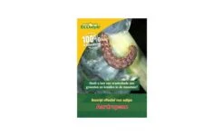 Aaltjes Tegen Aardrups 60 M²