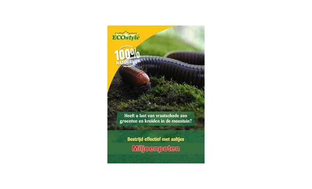 Aaltjes Tegen Miljoenpoot 60 M² 3 Aaltjes Tegen Miljoenpoot 60 M²