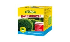 Trechterval Buxusmot