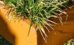 Cortenstaal Plantenbak Triangle 180 X 180 X 40 Cm 11 Cortenstaal Plantenbak Triangle 180 X 180 X 40 Cm -Winkels Voor Tuin- En Buitenuitrusting f29h4OkX7orxg89fSRIkOD7Ra2aUH1jESKRwdErd