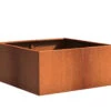 Plantenbak Cortenstaal 120x120x80 Cm Adezz -Winkels Voor Tuin- En Buitenuitrusting glCaBd6rBeI8XNdmkihUJqRNFqG6f1T5Z37WV7cM