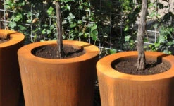 Plantenbak Cortenstaal Conic 60x60 Cm Adezz -Winkels Voor Tuin- En Buitenuitrusting iuGWGfF3gO37TxO8RRvRJygWcJOdztoHRCctTK7P