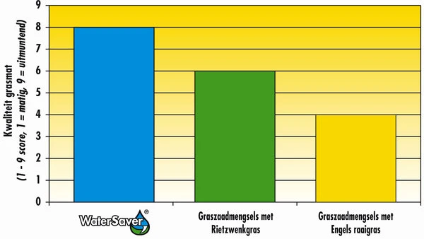 Barenbrug Water Saver 1 Kg 4 Barenbrug Water Saver 1 Kg - Afbeelding 2