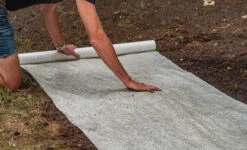 Winkels Voor Tuin- En Buitenuitrusting 2 Winkels Voor Tuin- En Buitenuitrusting -Winkels Voor Tuin- En Buitenuitrusting kCfOdFvojlvC8H10oKb3u5B5qMqeNJLf0va9xEoJ