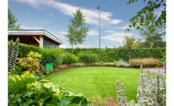 Borderrand Cortenstaal 3 Mm Hoek Recht Buiten 30x30x15 Cm 10 Borderrand Cortenstaal 3 Mm Hoek Recht Buiten 30x30x15 Cm -Winkels Voor Tuin- En Buitenuitrusting sJRTTWGZqIAiyEW6BRZ1SPaybTiIHB5Ukog6sXGT