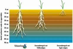 Barenbrug Water Saver 15 Kg -Winkels Voor Tuin- En Buitenuitrusting uDIMwa9XN2DEH6V7F7dAwvg8a93baSmj7LyzvKMu