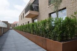 Borderrand Cortenstaal 2 Mm Hoek Gezet Binnen 30x30x20 Cm 12 Borderrand Cortenstaal 2 Mm Hoek Gezet Binnen 30x30x20 Cm -Winkels Voor Tuin- En Buitenuitrusting uRfob8AjLwrBGKeJur80kpOmAOEcSXcq0wYfy2AE