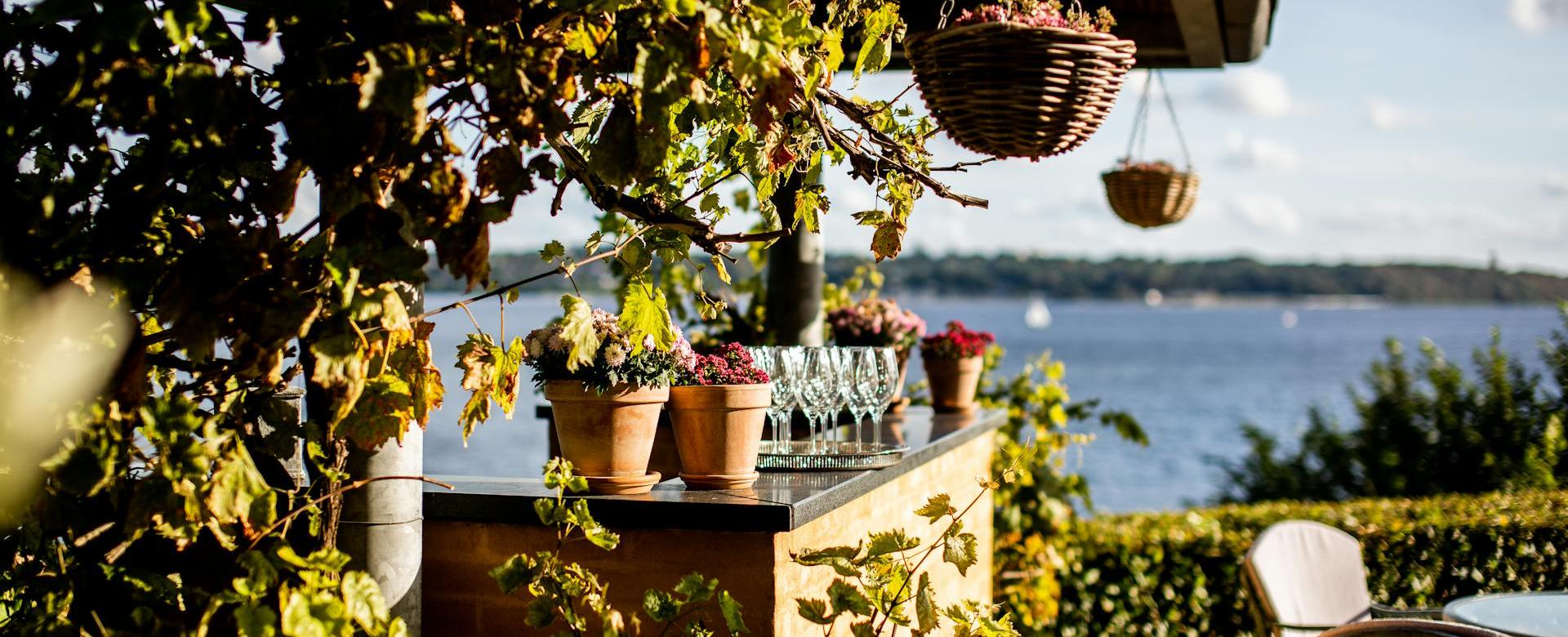 Winkels Voor Tuin- En Buitenuitrusting 1 Winkels Voor Tuin- En Buitenuitrusting -Winkels Voor Tuin- En Buitenuitrusting pexels reneterp 3167505